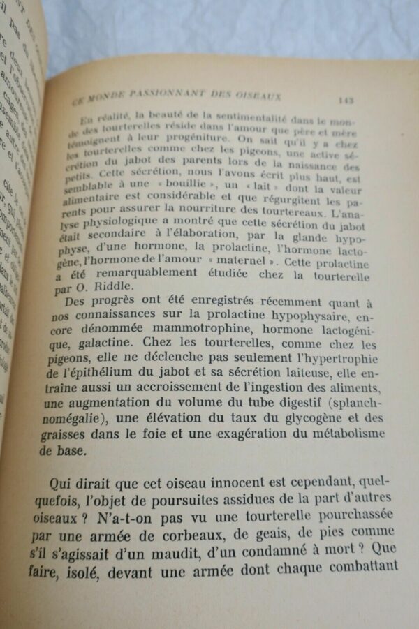 Oiseaux Ce monde passionnant des oiseaux + dédicace – Image 5