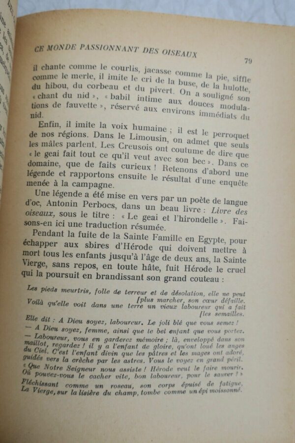 Oiseaux Ce monde passionnant des oiseaux + dédicace – Image 6