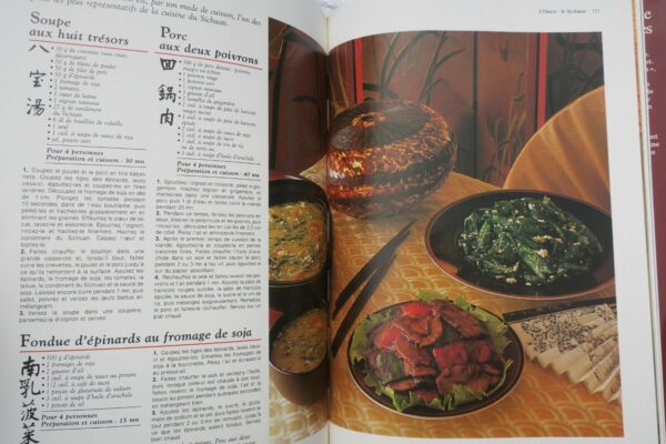 cuisine gastronomique des provinces chinoises 235  recettes – Image 4