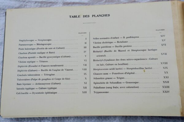 Atlas de bactériologie. Laboratoire Fournier – Image 13