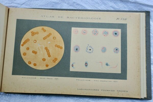 Atlas de bactériologie. Laboratoire Fournier – Image 4