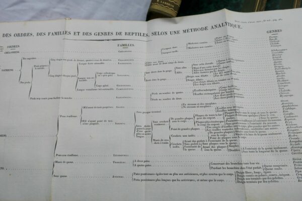 BORY DE SAINT-VINCENT Dictionnaire classique d'histoire naturel – Image 11