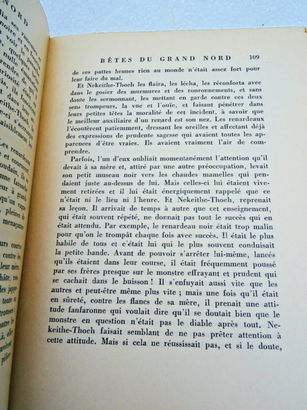 Bêtes du Grand Nord. Castors, Rats musqués, Renards, Lynx, Elan, ours, geai – Image 6