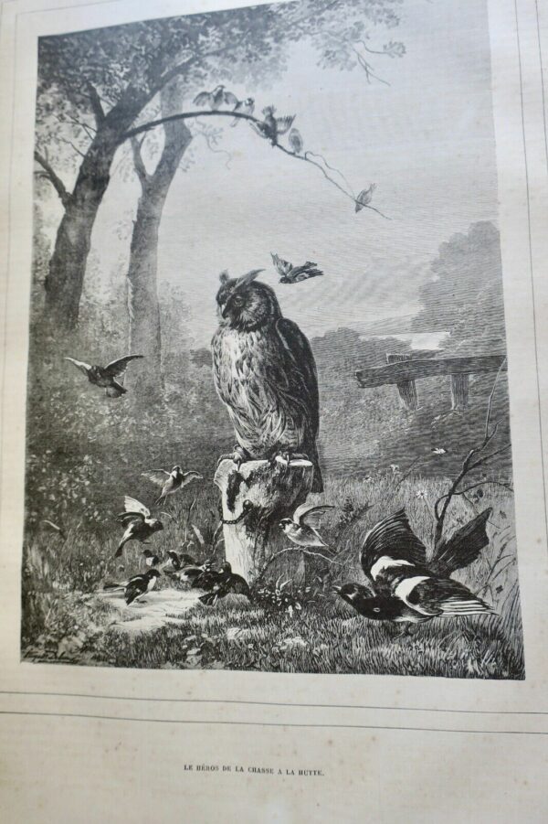 Chasse illustrée - Journal des chasseurs et de la vie à la campagne 1879 – Image 11