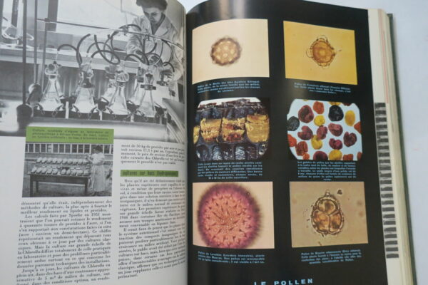 ENCYCLOPEDIE DES SCIENCES ET DES TECHNIQUES 1961 – Image 7