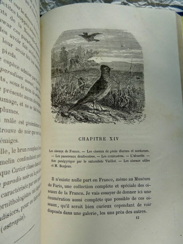 ESPRIT DES OISEAUX 1867 – Image 4