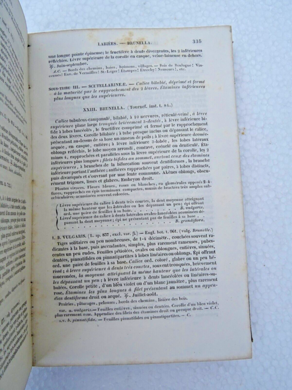 Flore descriptive et analytique des environs de Paris 1845 – Image 4