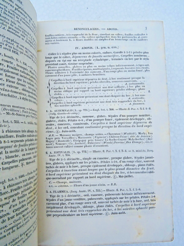 Flore descriptive et analytique des environs de Paris 1845 – Image 6