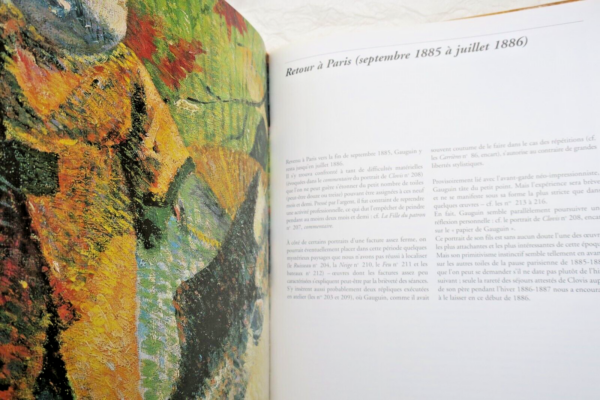 Gauguin, Paul Daniel Wildenstein CATALOGUE DE L'OEUVRE PEINT – Image 5