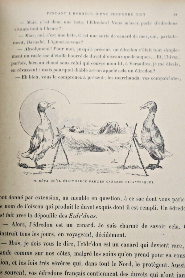 Hervilly  Vavasseur,  Chasseurs d'Edredons. Voyages et Singulières... – Image 7