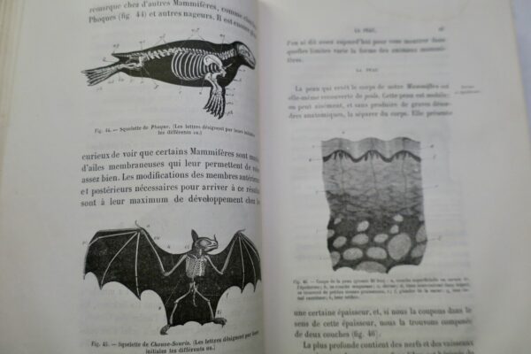 LEÇONS DE ZOOLOGIE  Enseignement secondaire des jeunes filles. 1881 – Image 5