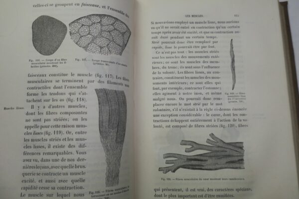 LEÇONS DE ZOOLOGIE  Enseignement secondaire des jeunes filles. 1881 – Image 7