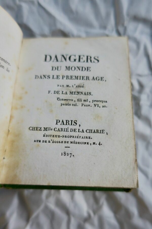 Mini Dangers du monde dans le premier âge 1827 – Image 3