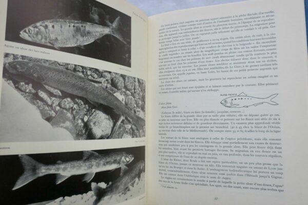 Pêche grand Livre de La Pêche et Des Poissons : Eau Douce 1952 – Image 12