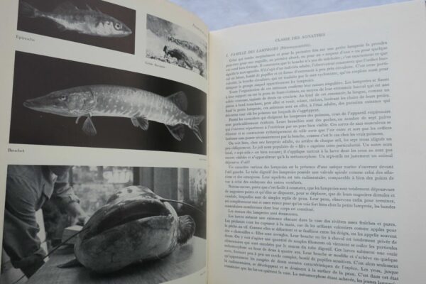 Pêche grand Livre de La Pêche et Des Poissons : Eau Douce 1952