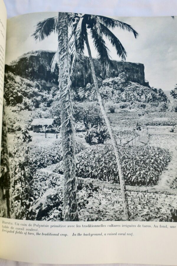 TAHITI ET SES ARCHIPELS - POLYNESIE FRANCAISE 1958 – Image 5