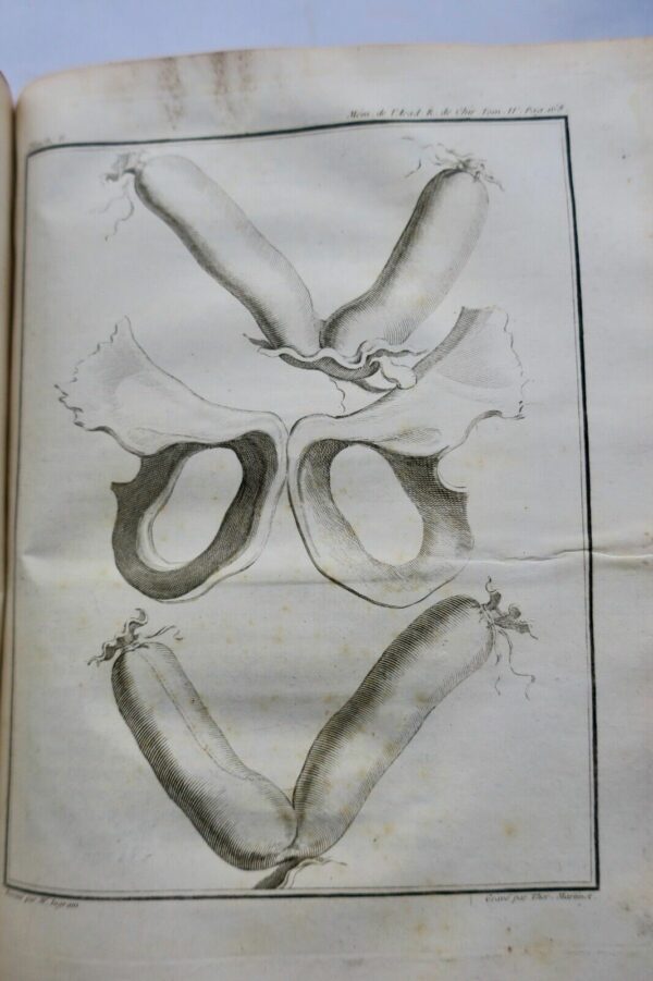 chirurgie Mémoires de l'Académie Royale de Chirurgie 1784 – Image 10