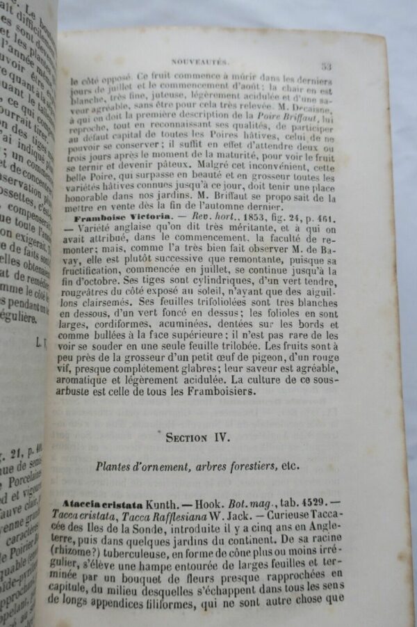 jardin Le bon jardinier. Almanach pour l'année 1855 – Image 6