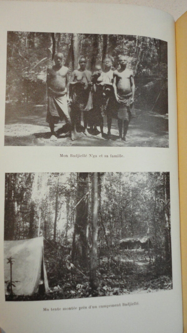 la vie des animaux sauvages au cameroun  Dr Gromier 1937 – Image 7