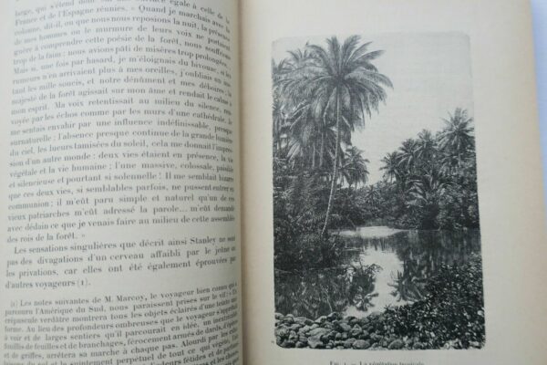 nature tropicale 1899 – Image 6