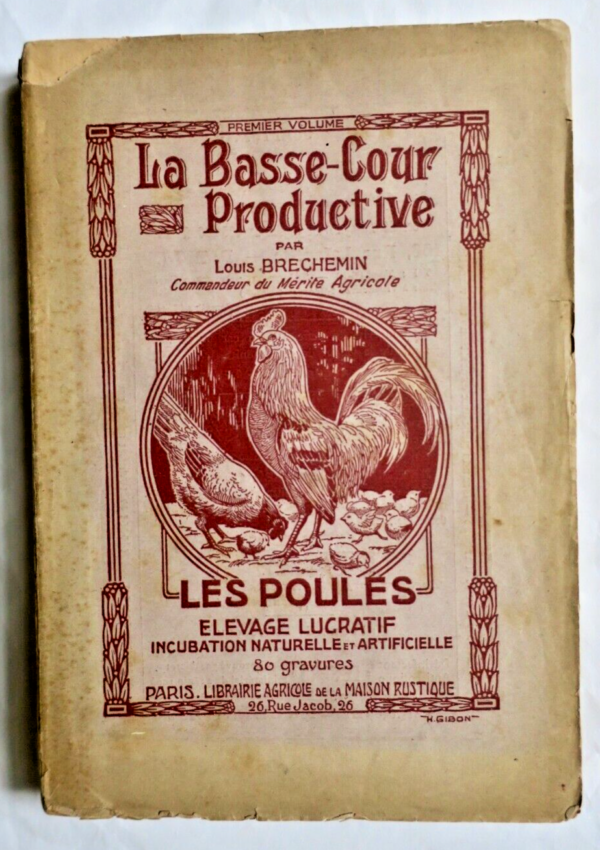 poule BASSE-COUR PRODUCTIVE. LES POULES ELEVAGE LUCRATIF.