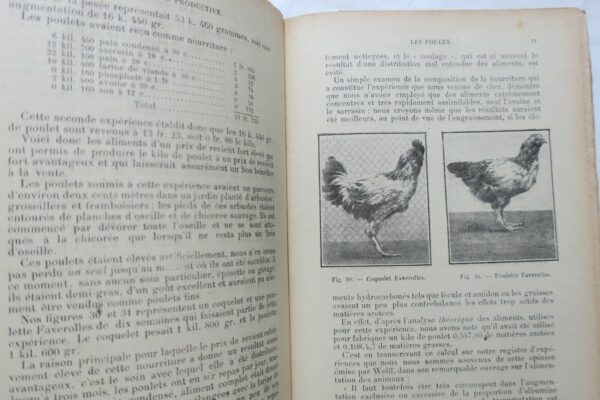 poule BASSE-COUR PRODUCTIVE. LES POULES ELEVAGE LUCRATIF. – Image 8