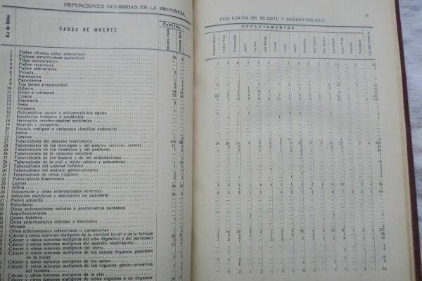 Argentina Anuario de la Direccion gal de estadistica de la provincia de Mendoza – Image 6