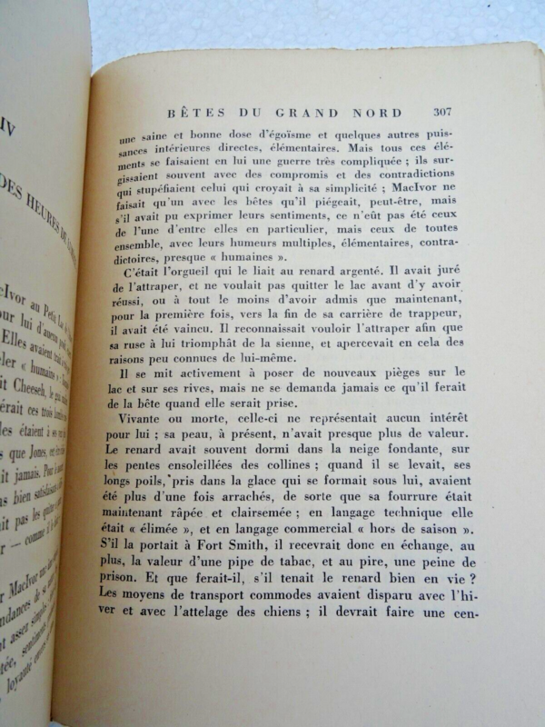 Bêtes du Grand Nord. Castors, Rats musqués, Renards, Lynx, Elan, ours, geai – Image 4