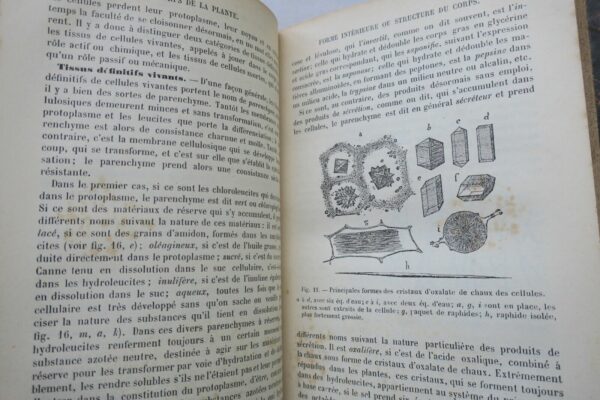 Botanique ELEMENTS DE BOTANIQUE 1891 – Image 5