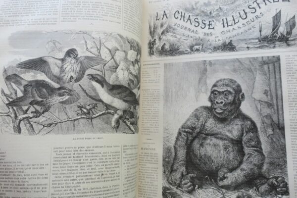 Chasse illustrée - Journal des chasseurs et de la vie à la campagne 1879