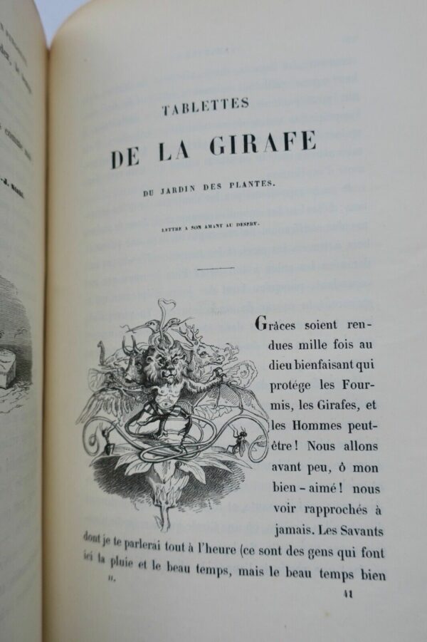 GRANDVILLE Scènes de la vie privée et publique des animaux 1842 – Image 14