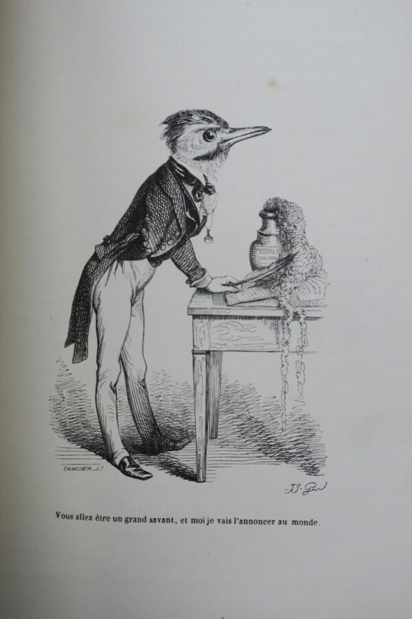 GRANDVILLE Scènes de la vie privée et publique des animaux 1842 – Image 16