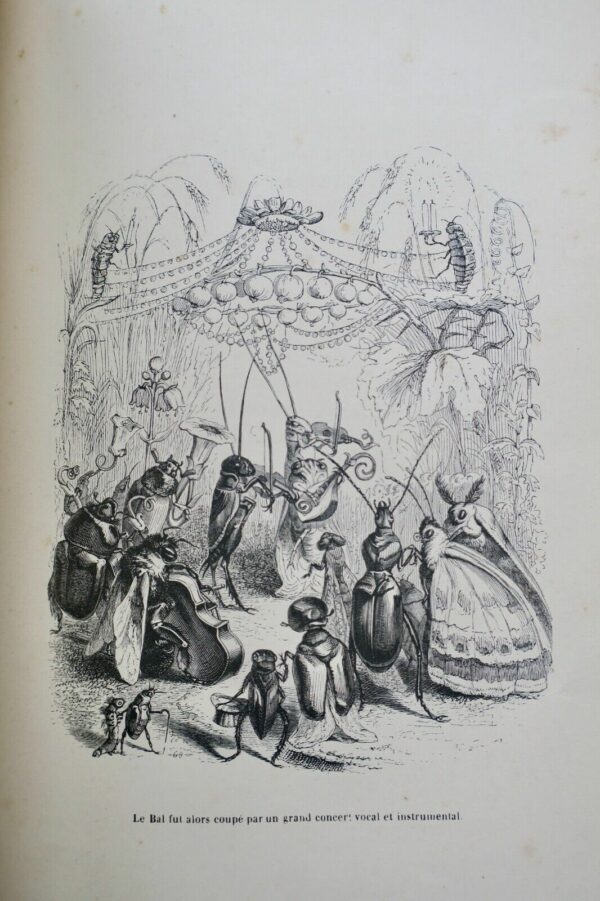 GRANDVILLE Scènes de la vie privée et publique des animaux 1842 – Image 19