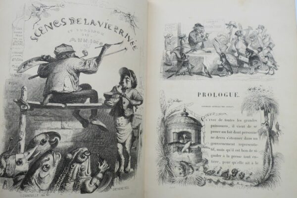 GRANDVILLE Scènes de la vie privée et publique des animaux 1842 – Image 22