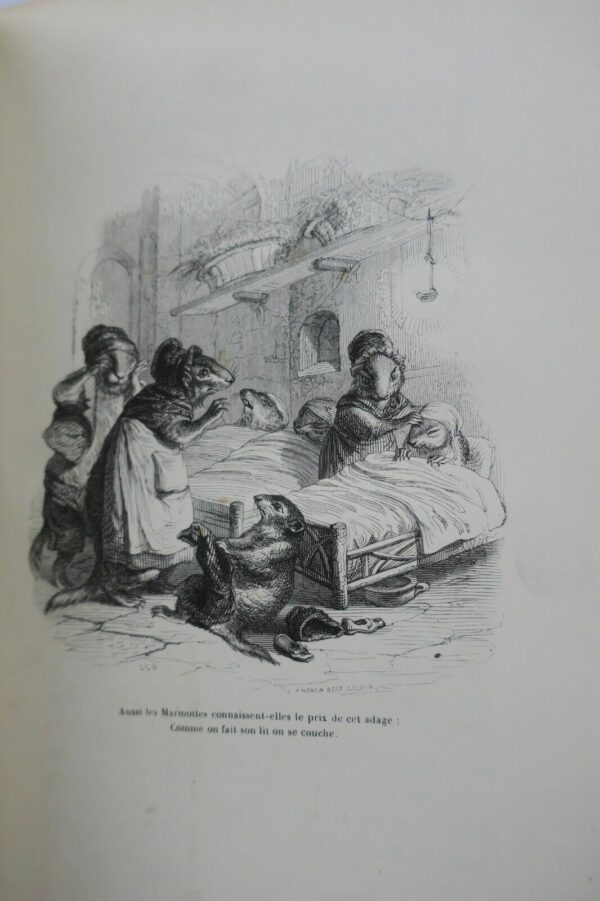 GRANDVILLE Scènes de la vie privée et publique des animaux 1842 – Image 6