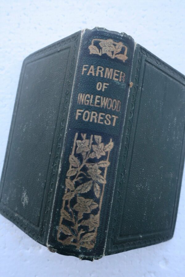 Helm Farmer of Inglewood Forest – Image 3