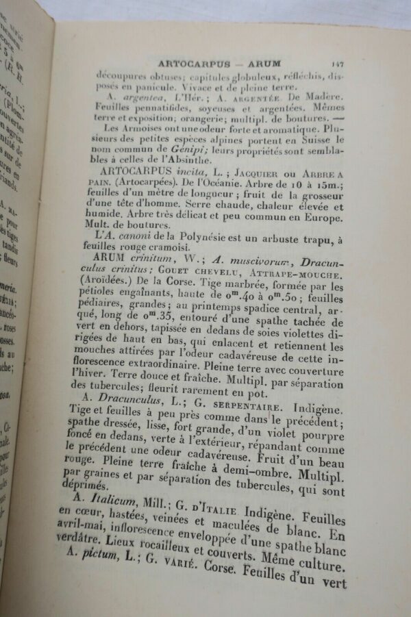 JARDIN  le bon jardinier 1889 – Image 6