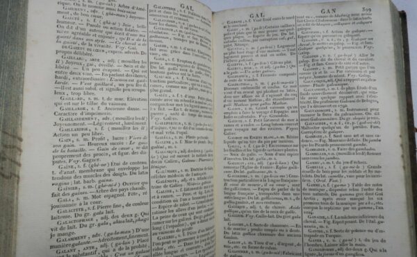 LAMBERT-GENTOT Nouveau vocabulaire de la langue française 1828 – Image 6