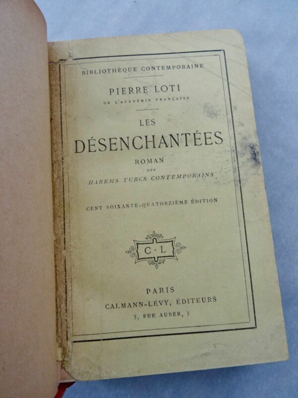 LOTI Pierre Les désenchantées – Image 4