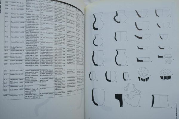 Mesopotamian Plain and Painted Pottery: The Rise of Neolithic Ceramic Styles – Image 6