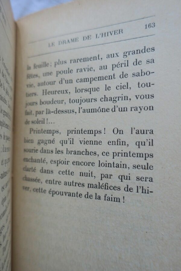 Nature Nesmy La féerie des bois Grasset, 1927 – Image 3