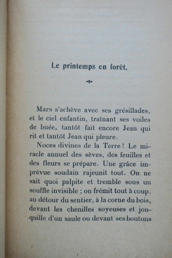 Nature Nesmy La féerie des bois Grasset, 1927 – Image 6