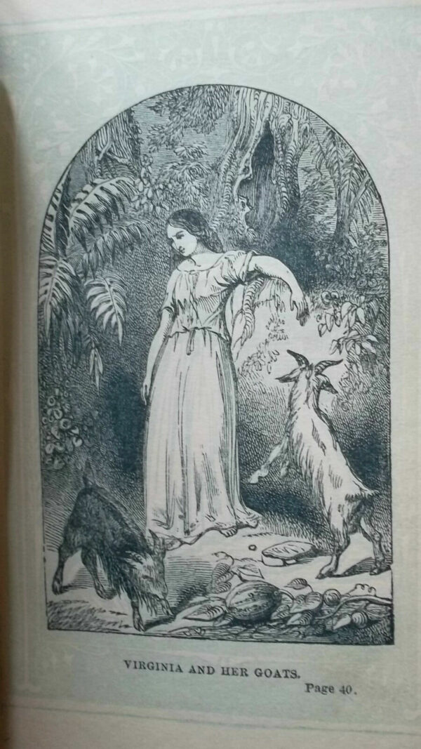 Paul & Virginia and Elizabeth 1851  Paul & Virginia and the exiles of Siberia – Image 6