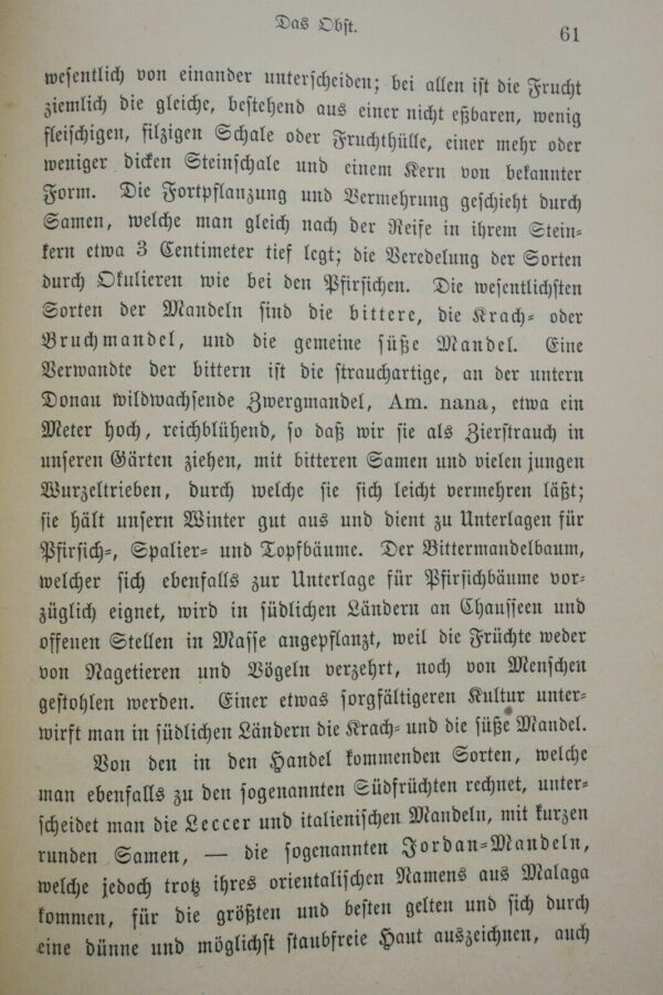 Pflanzen Praktische Pflanzenkunde für Handel, Gewerbe und Hauswirtschaft 1900 – Image 9