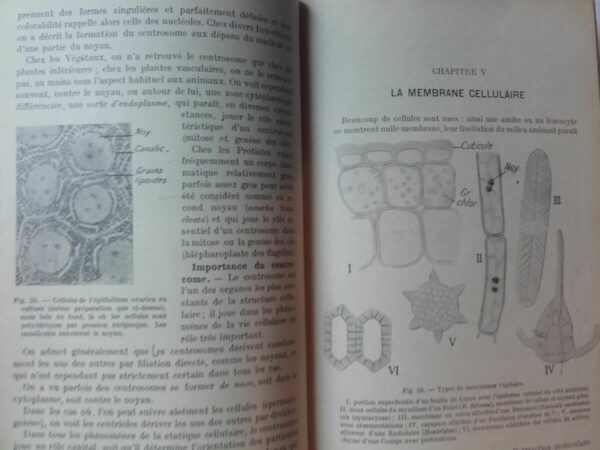 Précis d’histologie. Tome I : Histologie généréle. Tome II : Histologie des o... – Image 7