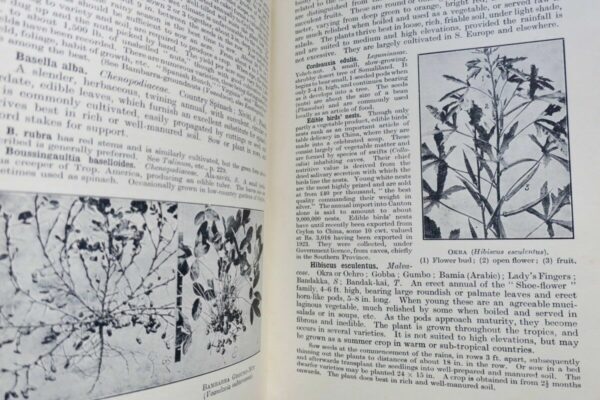 Tropical Planting and Gardening With Special Reference to Ceylon 1952 – Image 5