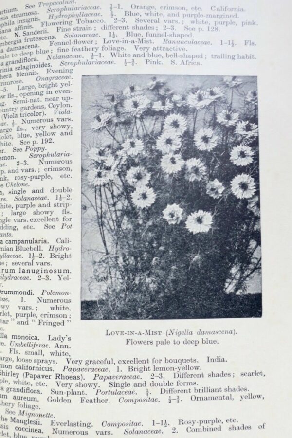 Tropical Planting and Gardening With Special Reference to Ceylon 1952 – Image 7