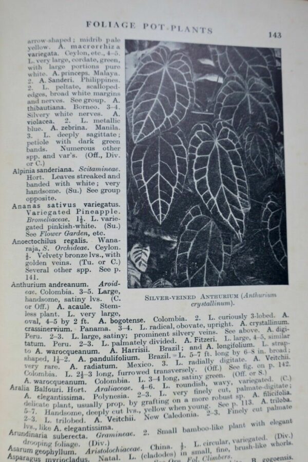 Tropical Planting and Gardening With Special Reference to Ceylon 1952 – Image 8