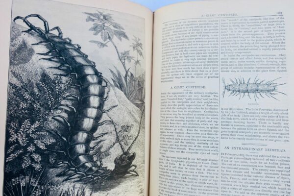 World of wonders 1888 NATURE SCIENCE AND ART – Image 11