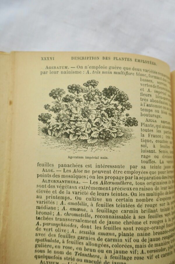 jardin Le nouveau jardinier illustré 1905 – Image 9